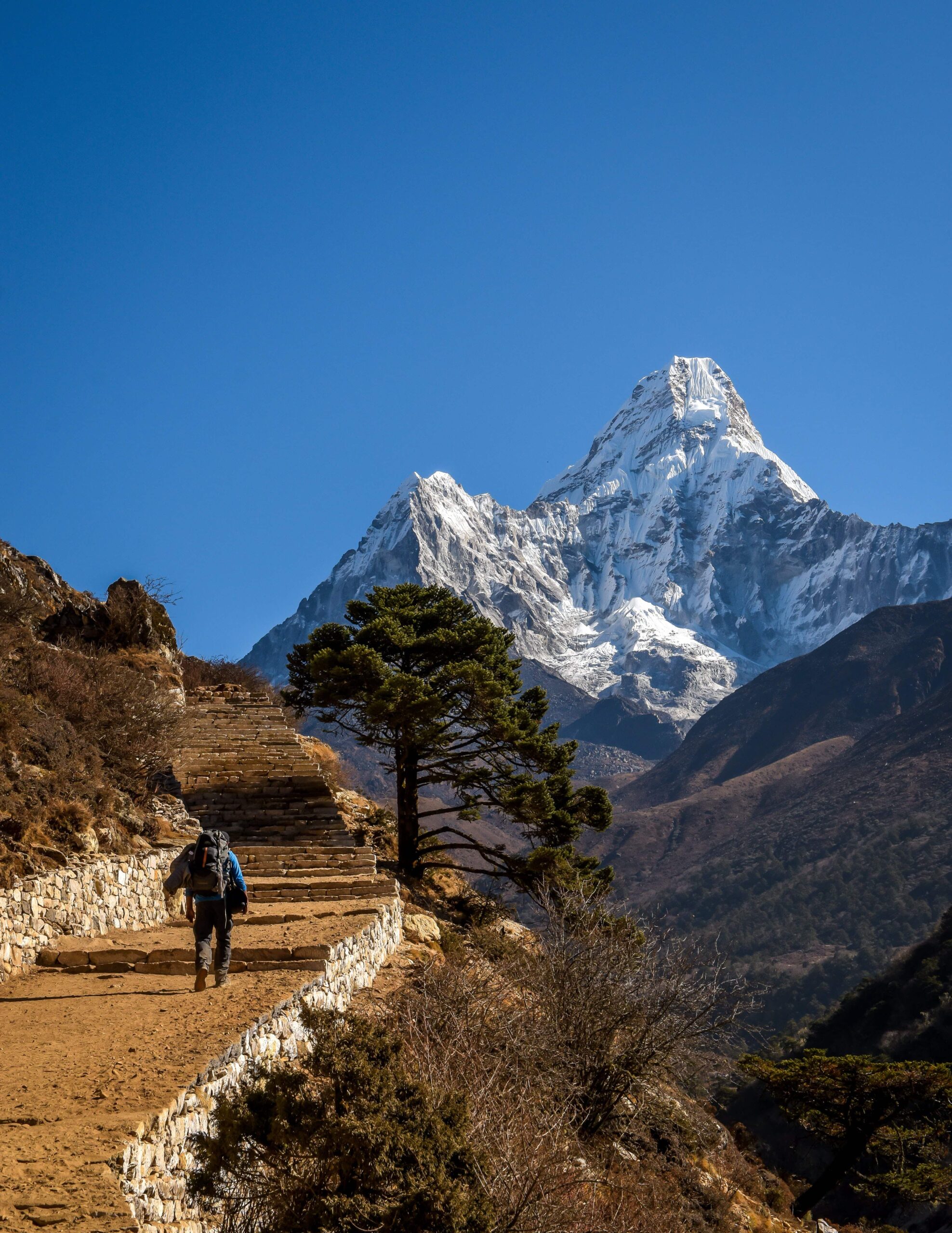 Nepal Luxury Tours excels at the Himalayan experience
